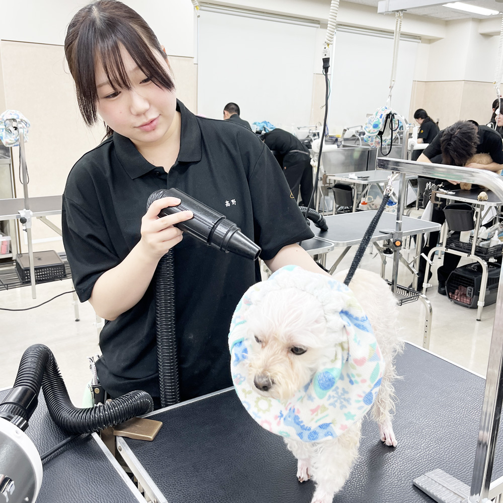 このお顔がたまらない！